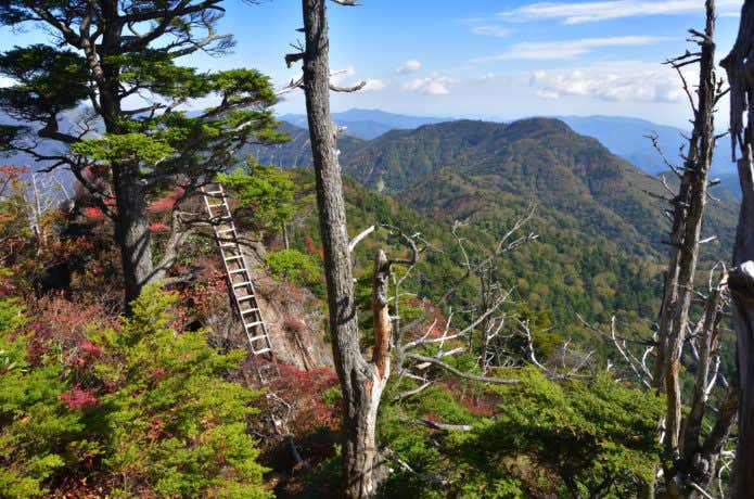 鋸山稜線尾根