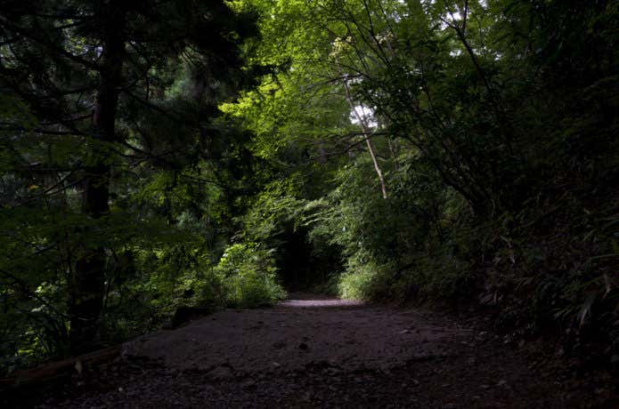 暗い登山道