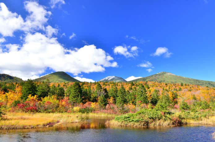 紅葉の八甲田山