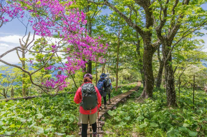 登山を楽しむ人