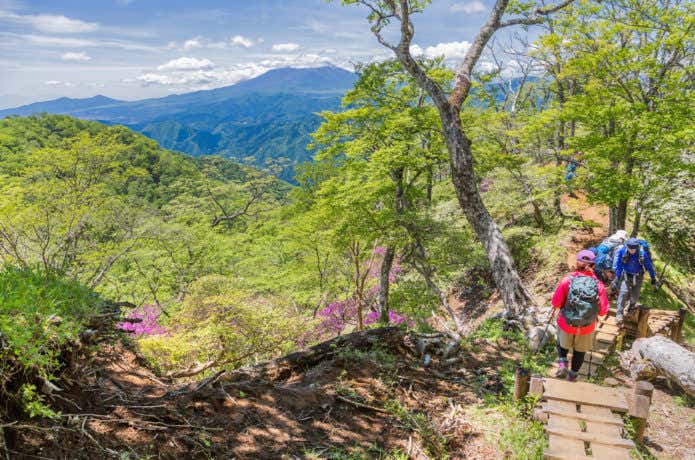 丹沢登山道