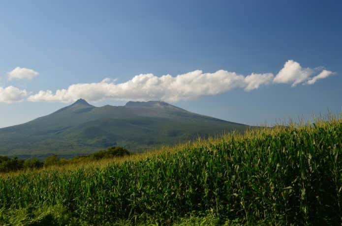 駒ヶ岳