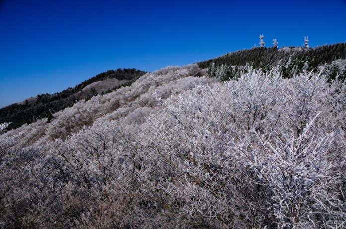 大阪登山　金剛山