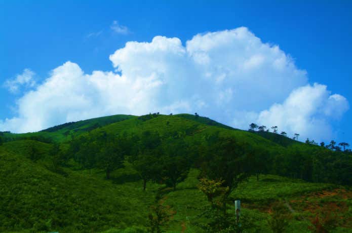 深入山
