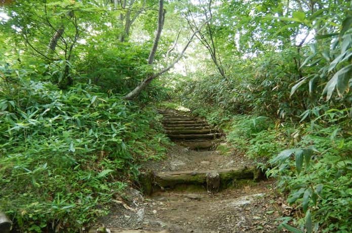 登山道