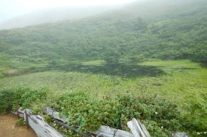 鏡沼