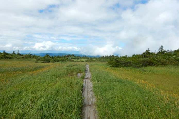 登山道