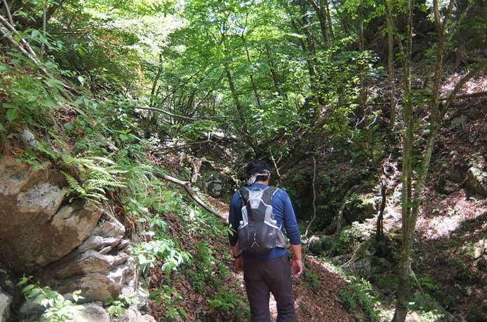 低山 じめじめ