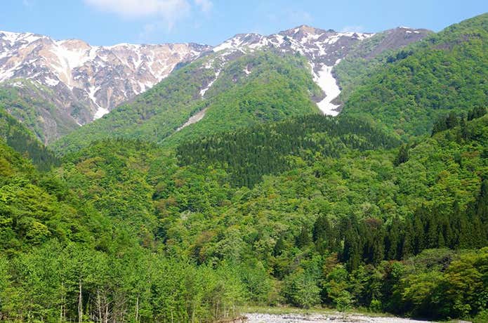 野谷荘司山