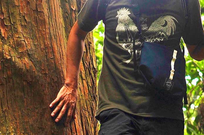 街山コーデ　Tシャツ