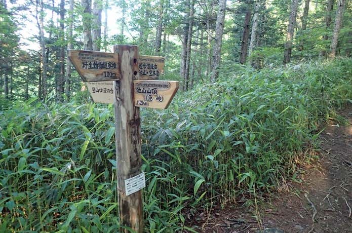 池山への分岐