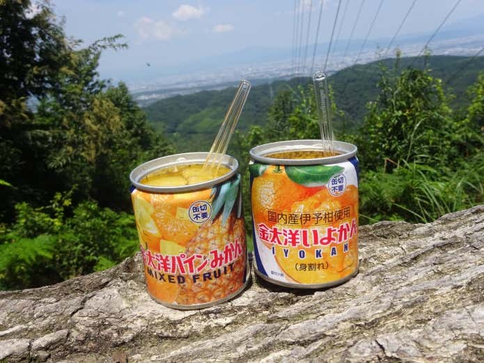 缶詰 冷凍