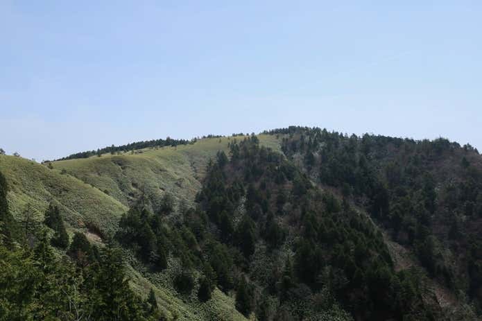 白草山