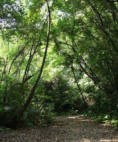 与那覇岳