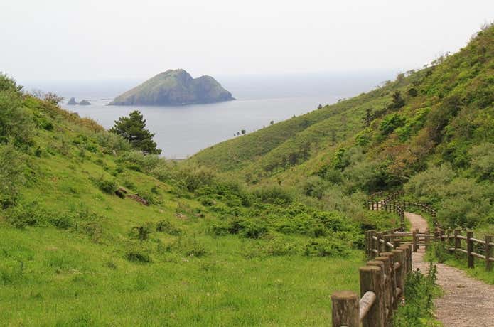 赤ハゲ山