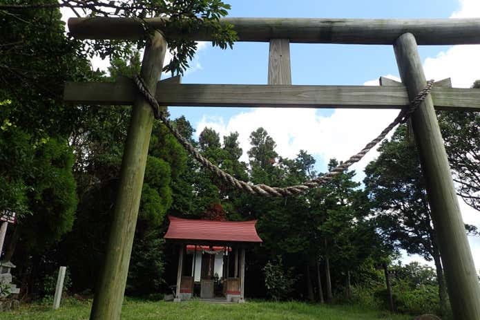 冠岳山頂の鳥居