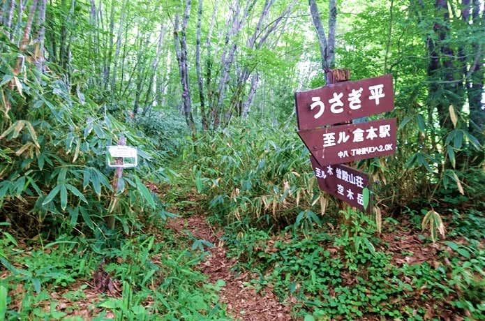 ウサギ平