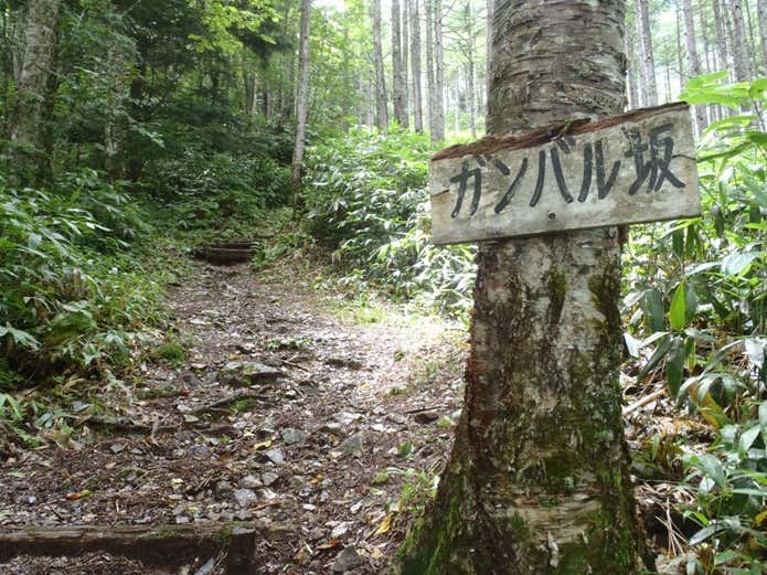 丸黒山登山コース中のガンバル坂