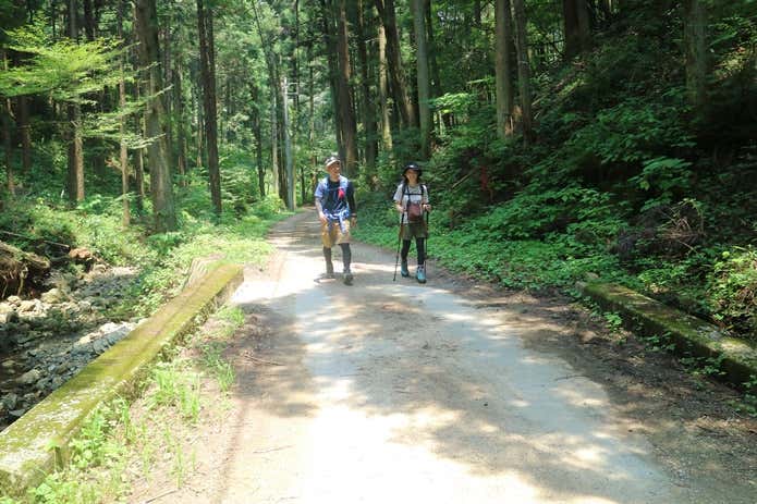 夏の登山者
