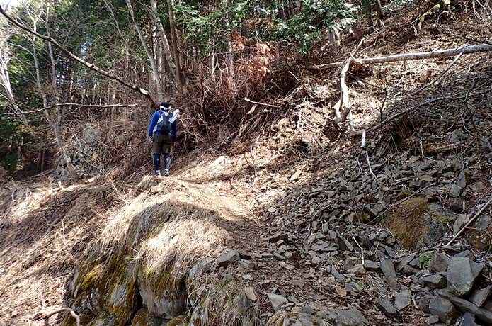 低山 道が荒れる