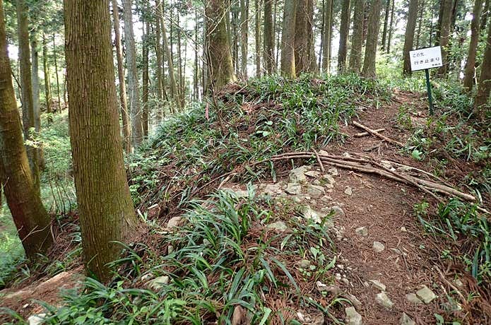 低山 道が多い