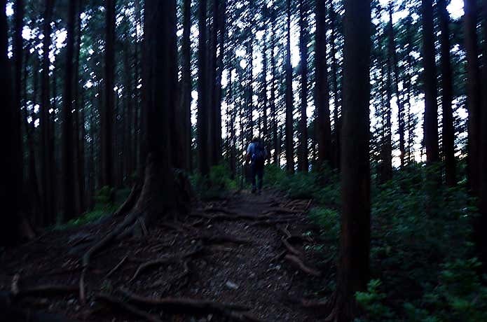 低山 道迷い