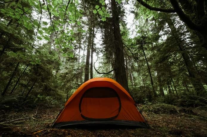 Nano Cure Tent