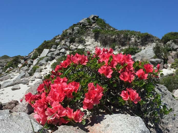 天上山