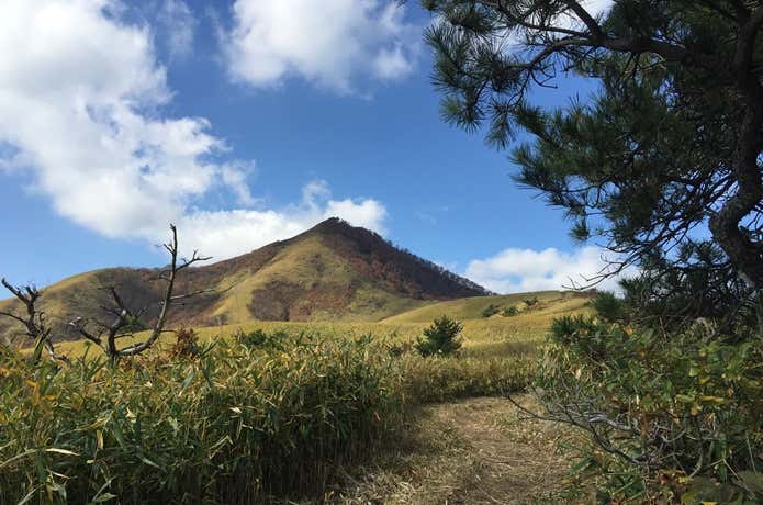 岡山 登山　下蒜山
