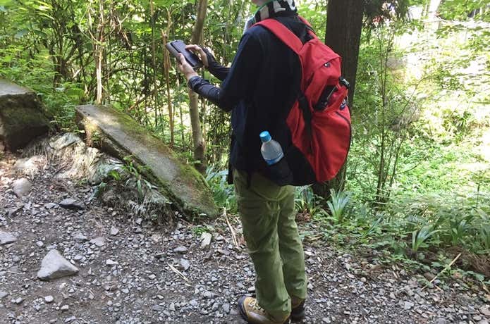 危険行為　立ち止まってスマホ操作