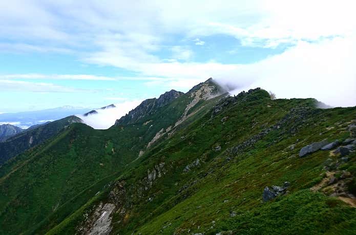 南駒ヶ岳稜線