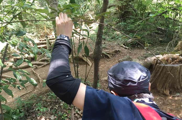 危険行為　登山道の枝