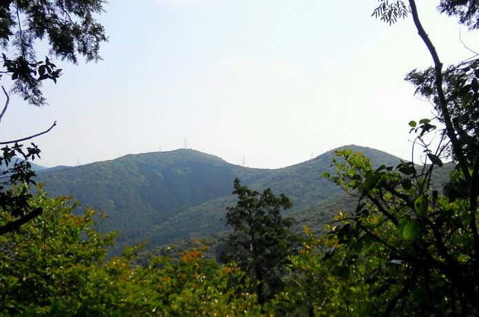 神石山の全容