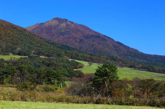 中蒜山