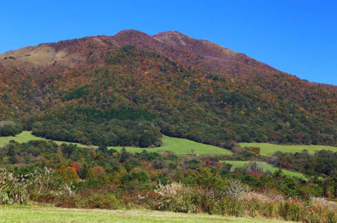 上蒜山