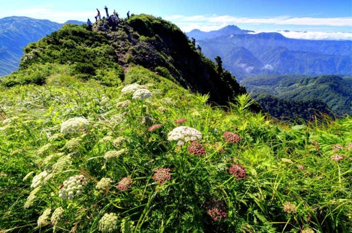 雨飾山