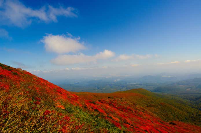紅葉に色づく栗駒山の稜線