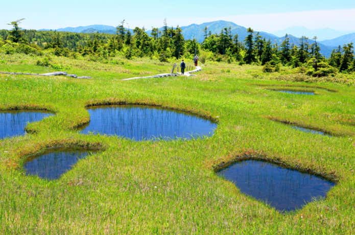 新潟 山