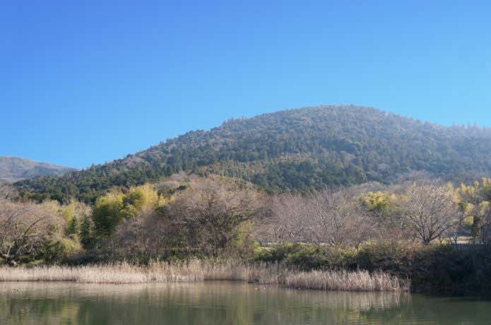 奈良　山　三輪山