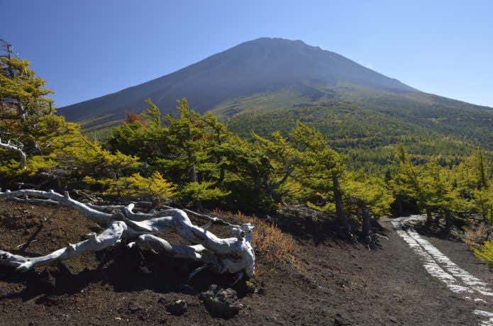奥庭からの富士山