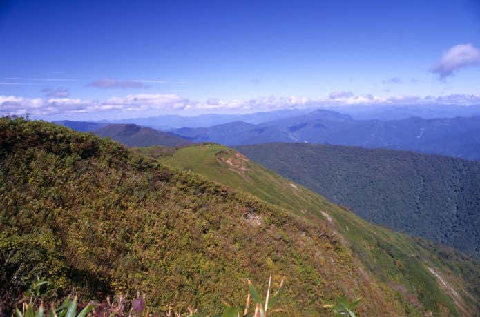 能郷白山