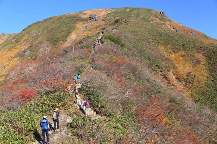 谷川岳　人気