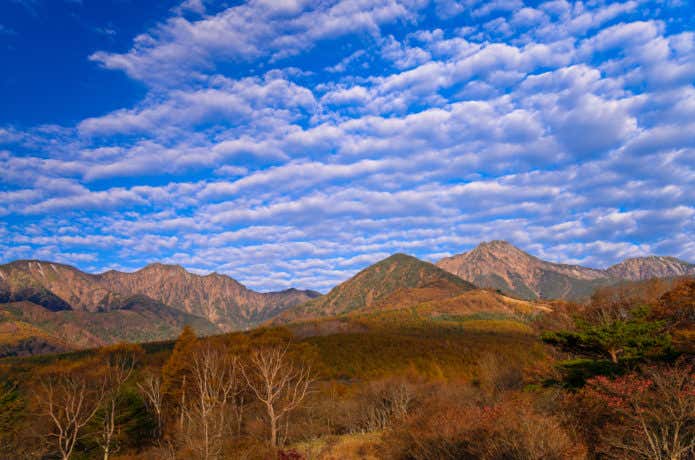 美し森絡みた八ヶ岳