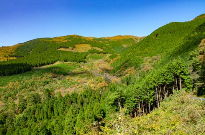 岡山 登山 