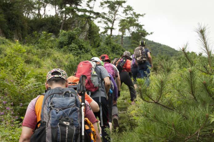 草木が生い茂る登山道を歩く登山者