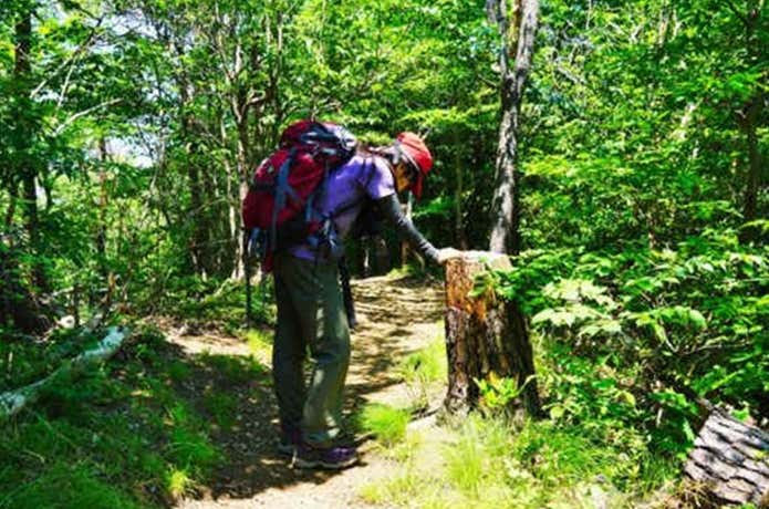 登山　熱中症