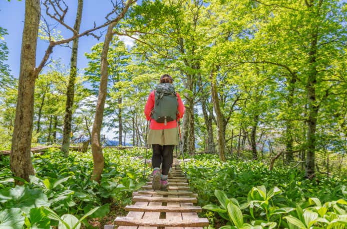 登山道