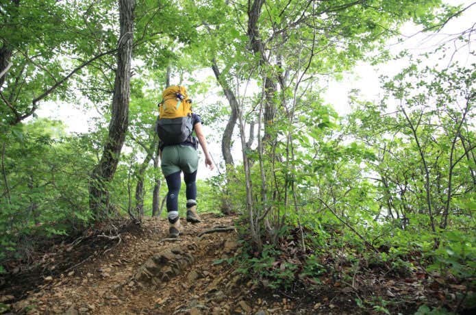急登を歩く登山者