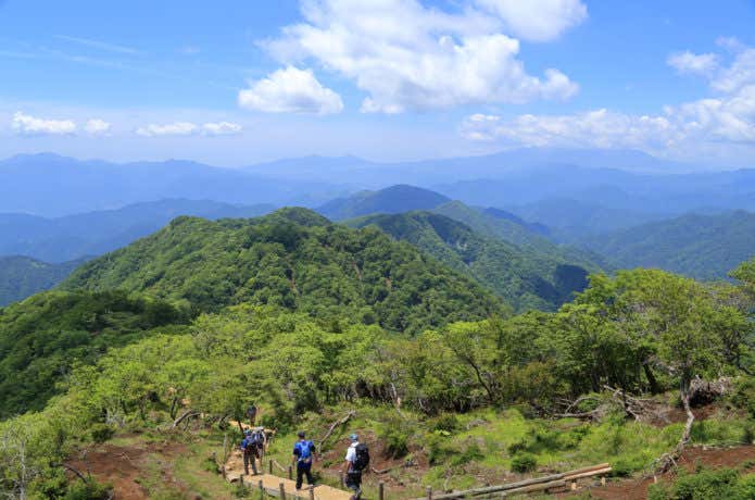 神奈川の塔ノ岳山頂付近