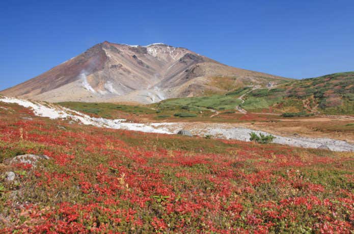 旭岳の紅葉